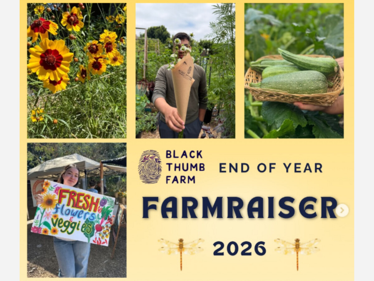 Black Thumb:  End of Year Farmraiser  