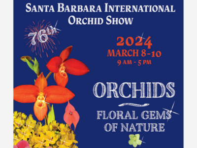  Santa Barbara Orchid Show 79yrs Old! 3/8 -3/10