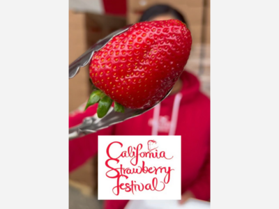 Strawberry Festival: Local Vendors