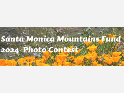 Santa Monica Mountains Fund 2024 Photo Competition