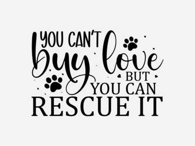 Adopt, Don’t Shop During Pet Adoption Week!