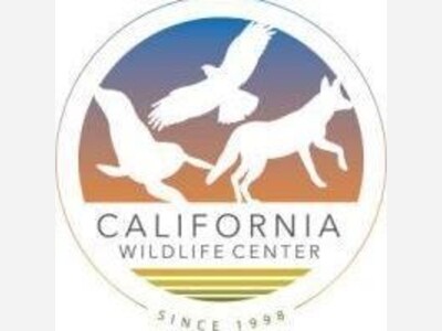 California Wildlife Center in Calabasas