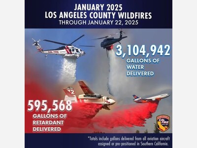 Pacific Palisades Stats: Anomalies or Errors