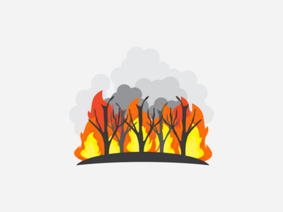 Pacific Palisades Fire Update Anomaly