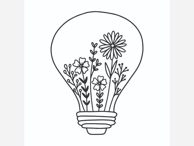 Week 53 2024: 955 Patents issued to Californians