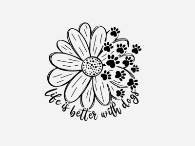 ﻿Beginning Dog Obedience:  6 Sessions