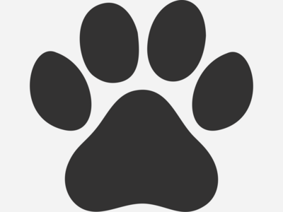 Beginning Starter Agility Class: 6 Sessions 