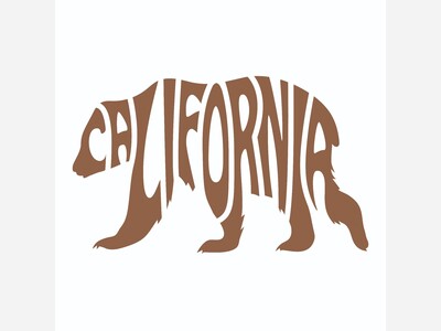 California Government Open Meeting Laws