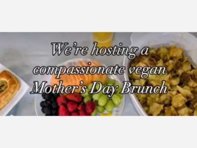 Mother's Day Brunch at Kindred Spirits Care Farm