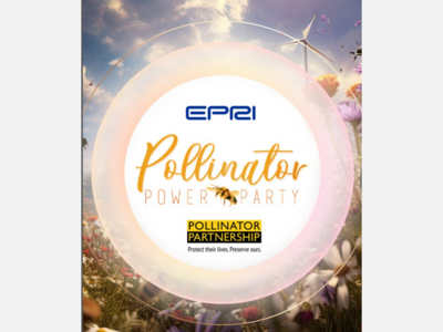 Pollinator Power Party