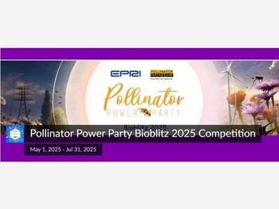 Join the Pollinator Power Party Bioblitz May 1st - July 31s