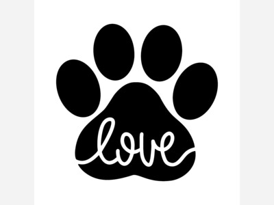6/24/25 LA City Council Naively Votes to Waive Fees for Pet Adoption