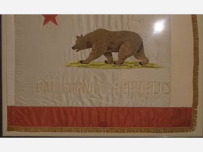 Curious California Flag at Governor Newsom Press Event