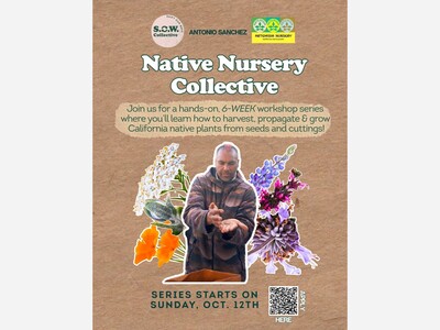 Native Nursery Collective 6 week Free Course