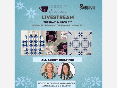 National Quilting Month Online Event 3/3/26 at 10:30am