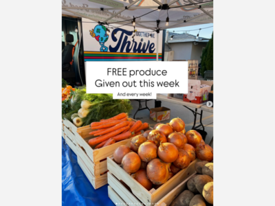 Thrive Food Bank