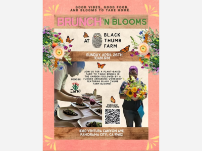 Brunch 'n Blooms