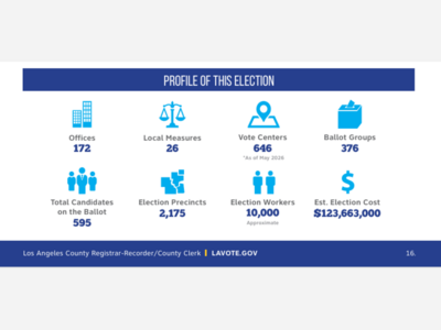 The Tedious Processing of Ballots 