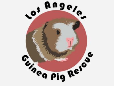 Los Angeles Guinea Pig Rescue in Chatsworth