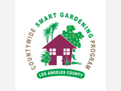 Introduction to Composting - Webinar