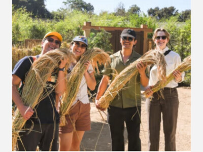 Annual Shōya House Rice Harvest 11/01/25