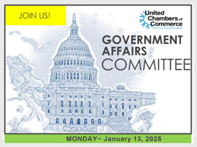 The Government Affairs Committee Meeting Virtual 1/13/25