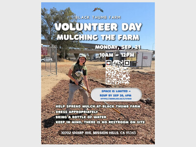 Volunteer Day: Mulching the Farm