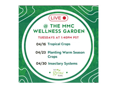 MMC Wellness Garden: Planting Warm Season Crops