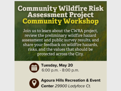 Community Wildfire Risk Assessment Project Workshop