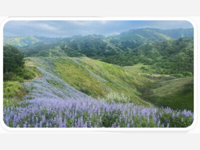 Saugus to the Sea Road to Mission Point Trail