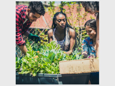 Urban Gardening with Elliott Kuhn