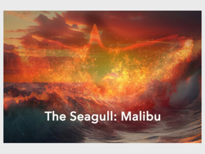 The Seagull: Malibu